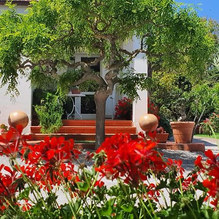 Arenosu Comfort Country Resort Fertilia Exteriér fotografie