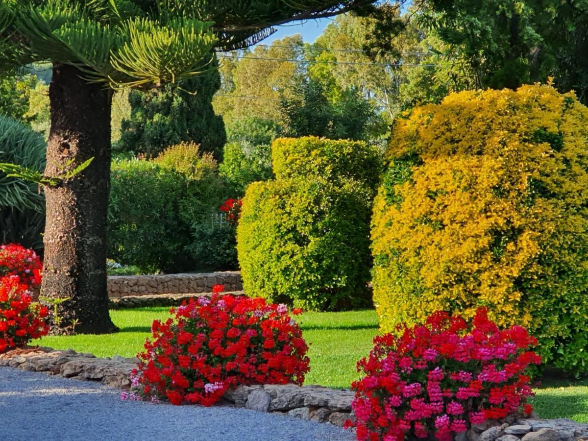 Arenosu Comfort Country Resort Fertilia Exteriér fotografie