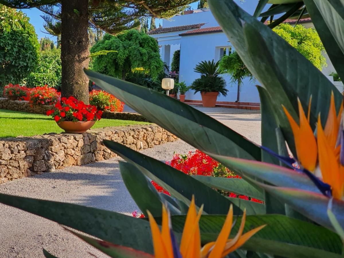 Arenosu Comfort Country Resort Fertilia Exteriér fotografie