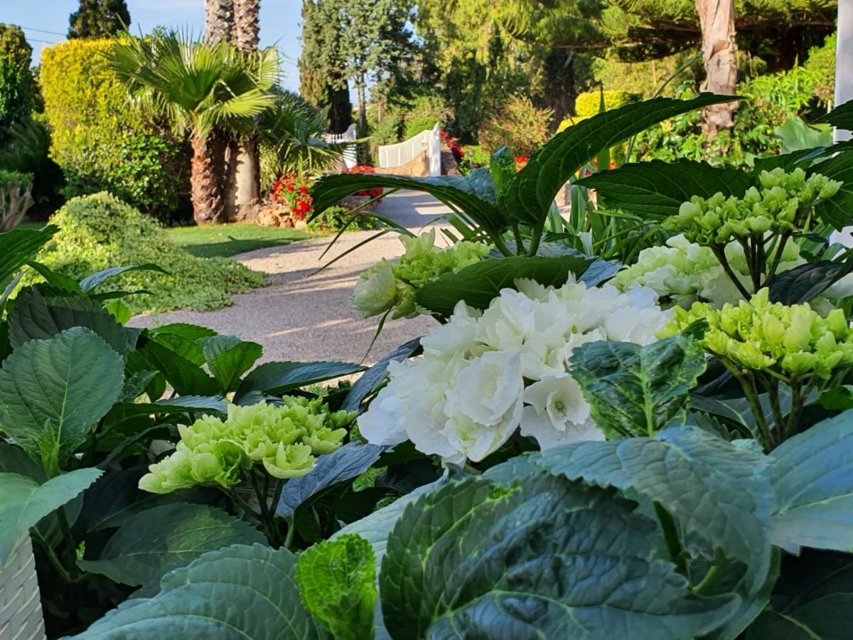 Arenosu Comfort Country Resort Fertilia Exteriér fotografie