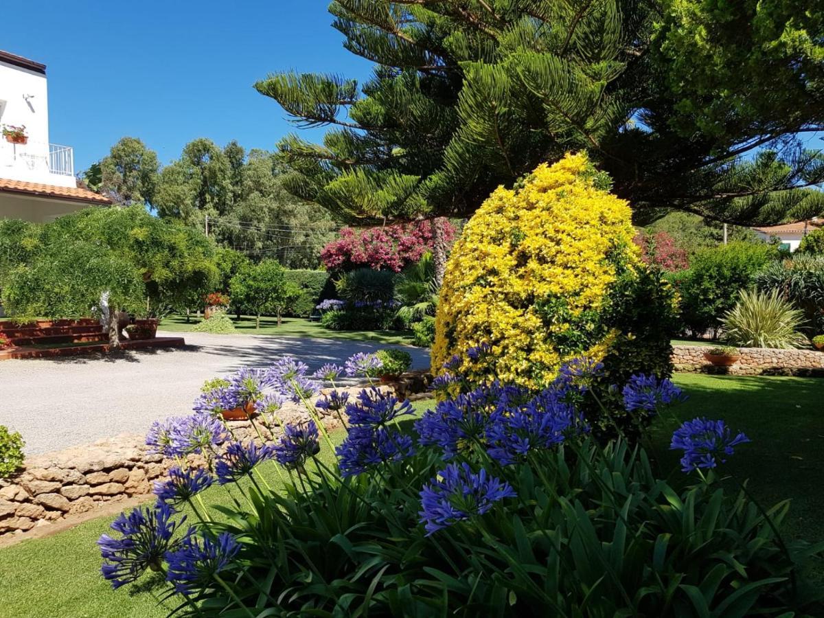 Arenosu Comfort Country Resort Fertilia Exteriér fotografie