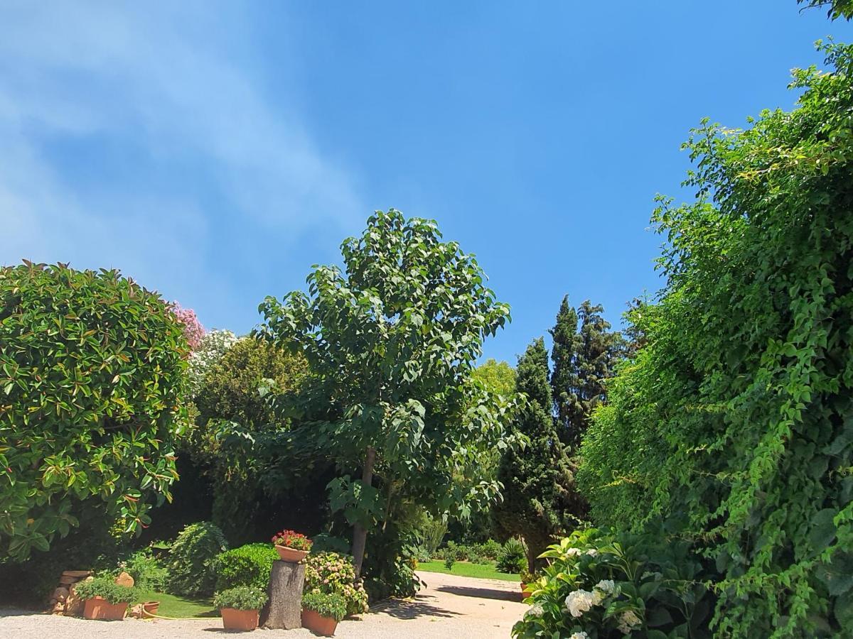Arenosu Comfort Country Resort Fertilia Exteriér fotografie