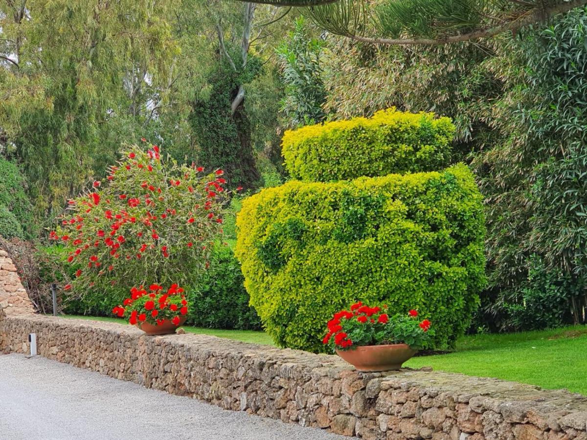 Arenosu Comfort Country Resort Fertilia Exteriér fotografie