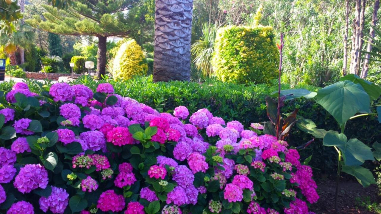 Arenosu Comfort Country Resort Fertilia Exteriér fotografie