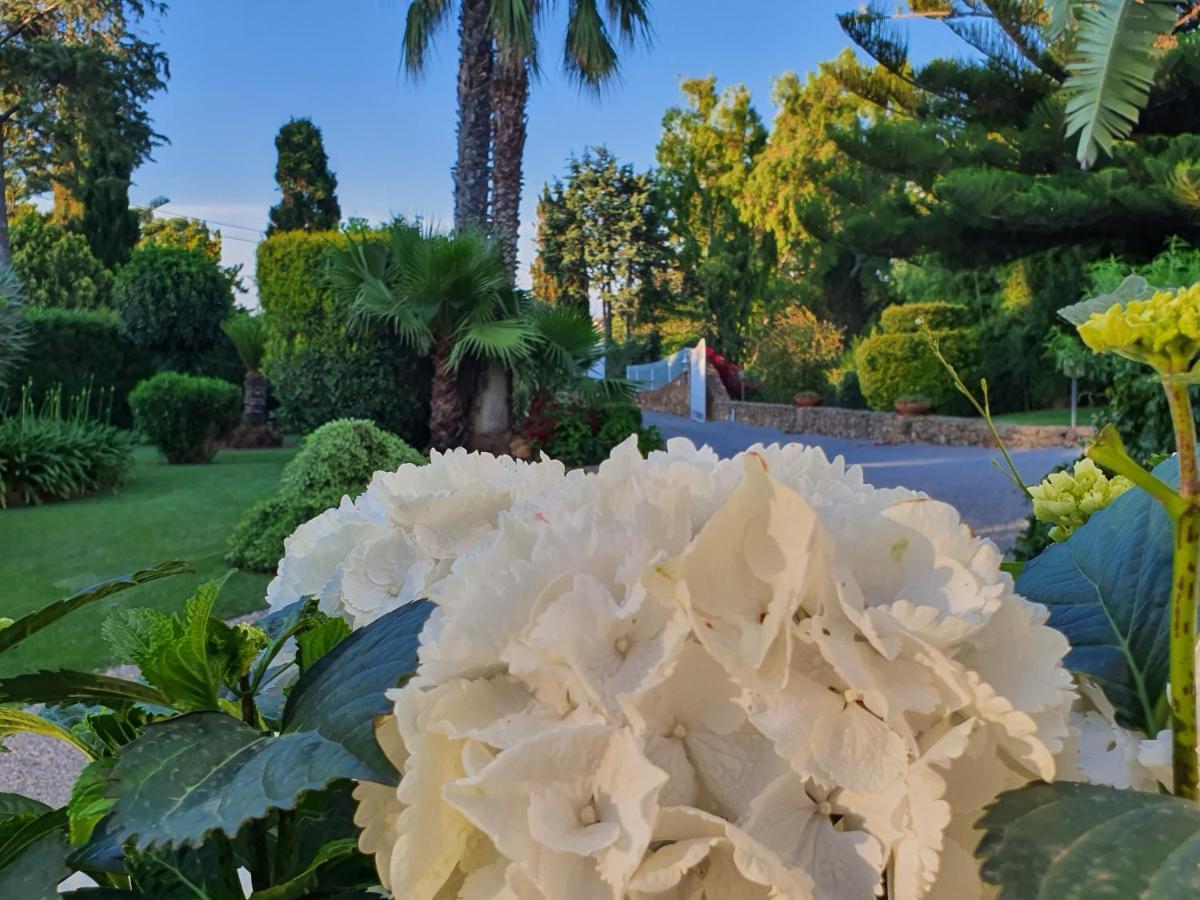 Arenosu Comfort Country Resort Fertilia Exteriér fotografie