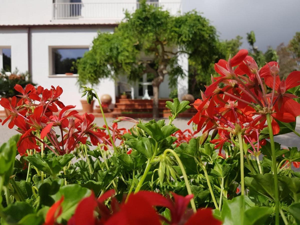 Arenosu Comfort Country Resort Fertilia Exteriér fotografie